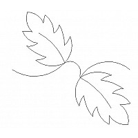 leaf border 3